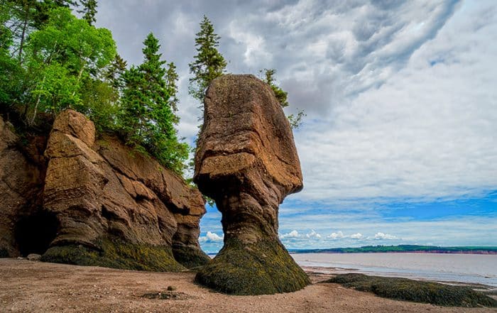 fundy national park