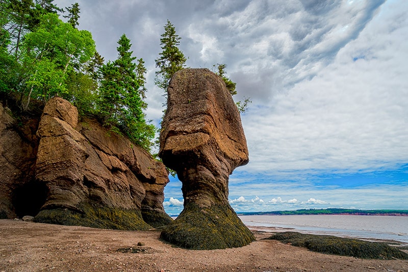 fundy national park