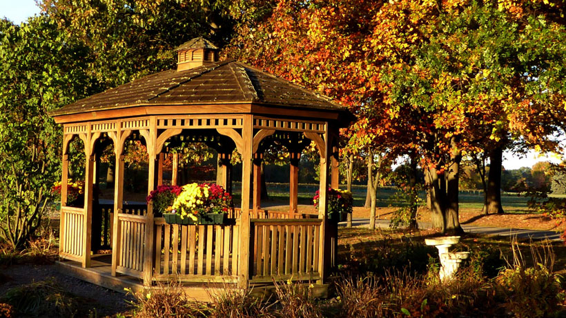 pergola in fall